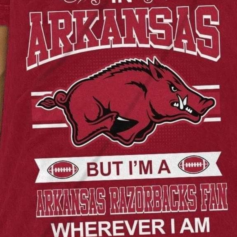 Razorbacks Banners - Picture 11 of 16
